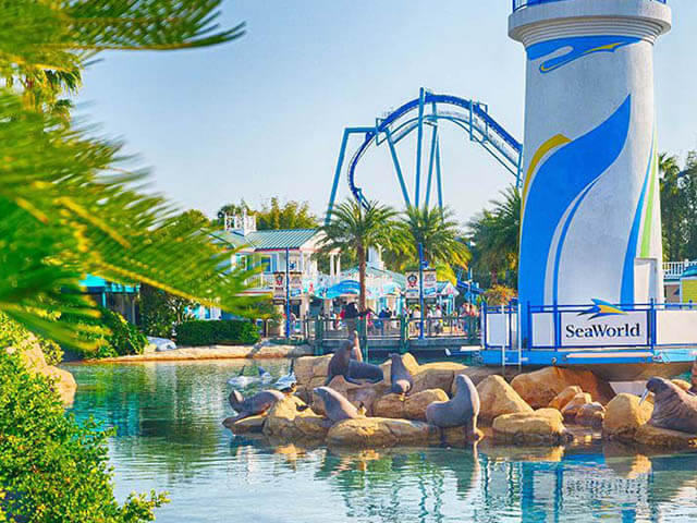 SeaWorld-Orlando_07