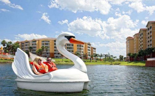 WG-TownCenter-swan (1)